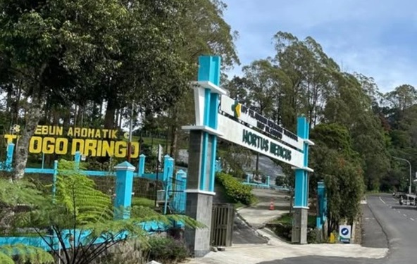UPF Pelayanan Kesehatan Tradisional Tawangmangu (UPF Yankestrad Tawangmangu)